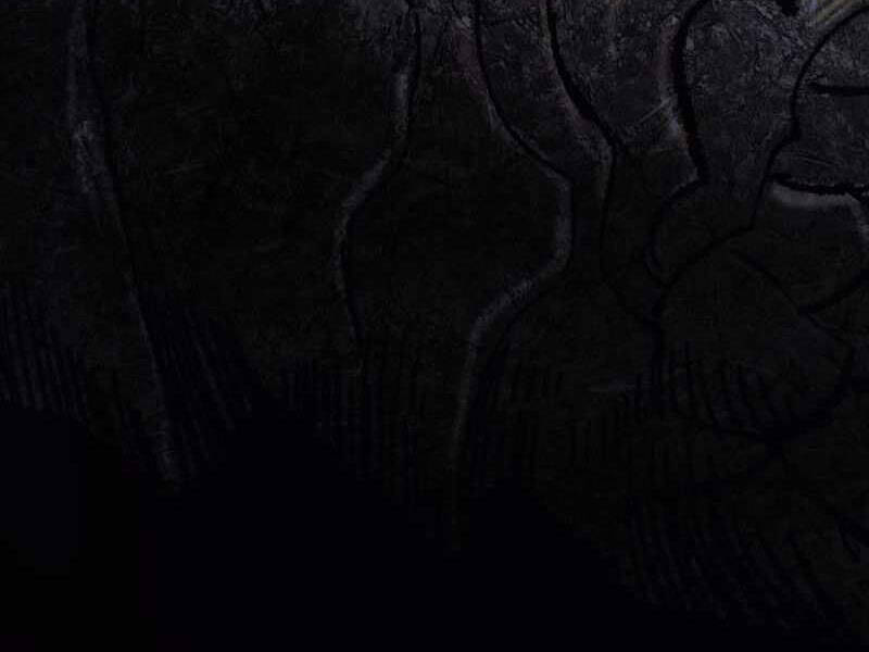 Phá Bỏ Giới Hạn chapter 69.5 - Upload bởi truyensieuhay.com