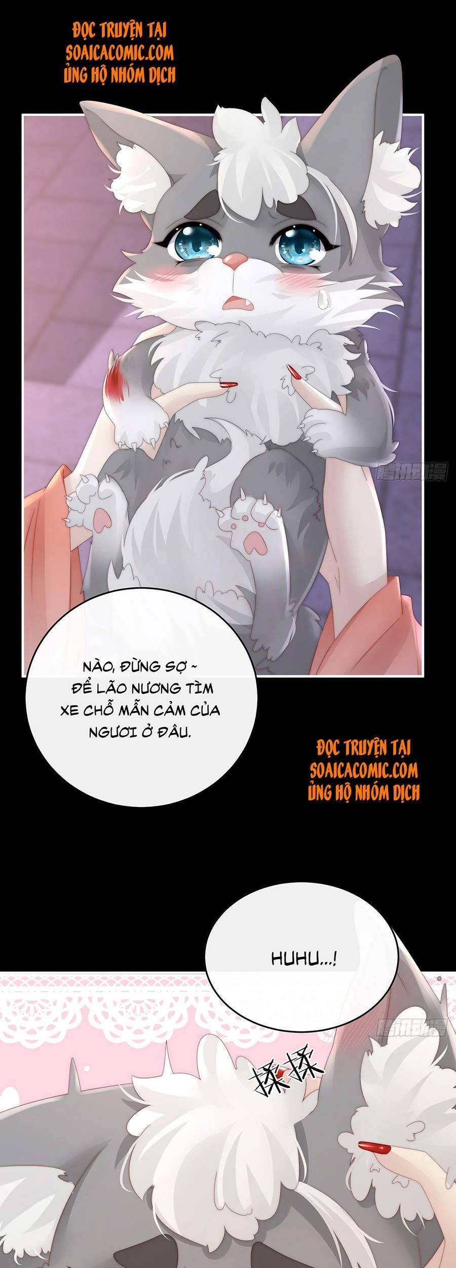 Thê Chủ, Thỉnh Hưởng Dụng chapter 20 - Trang 6