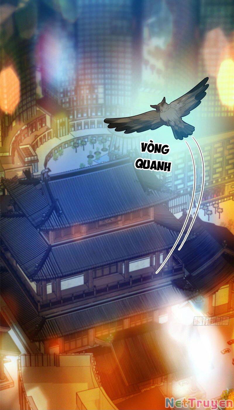 Trọng Sinh Chi Thần Cấp Bại Gia Tử chapter 39 - Trang 5
