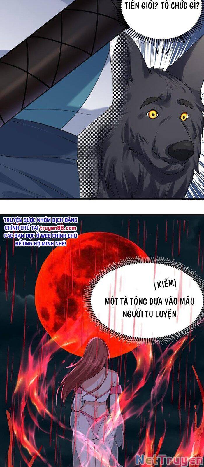Ta Vô Địch Lúc Nào chapter 56 - Trang 14