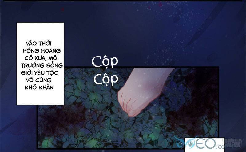 Tiểu Hồ Ly Hôm Nay Có Chút Ngoan chapter 1 - Trang 4