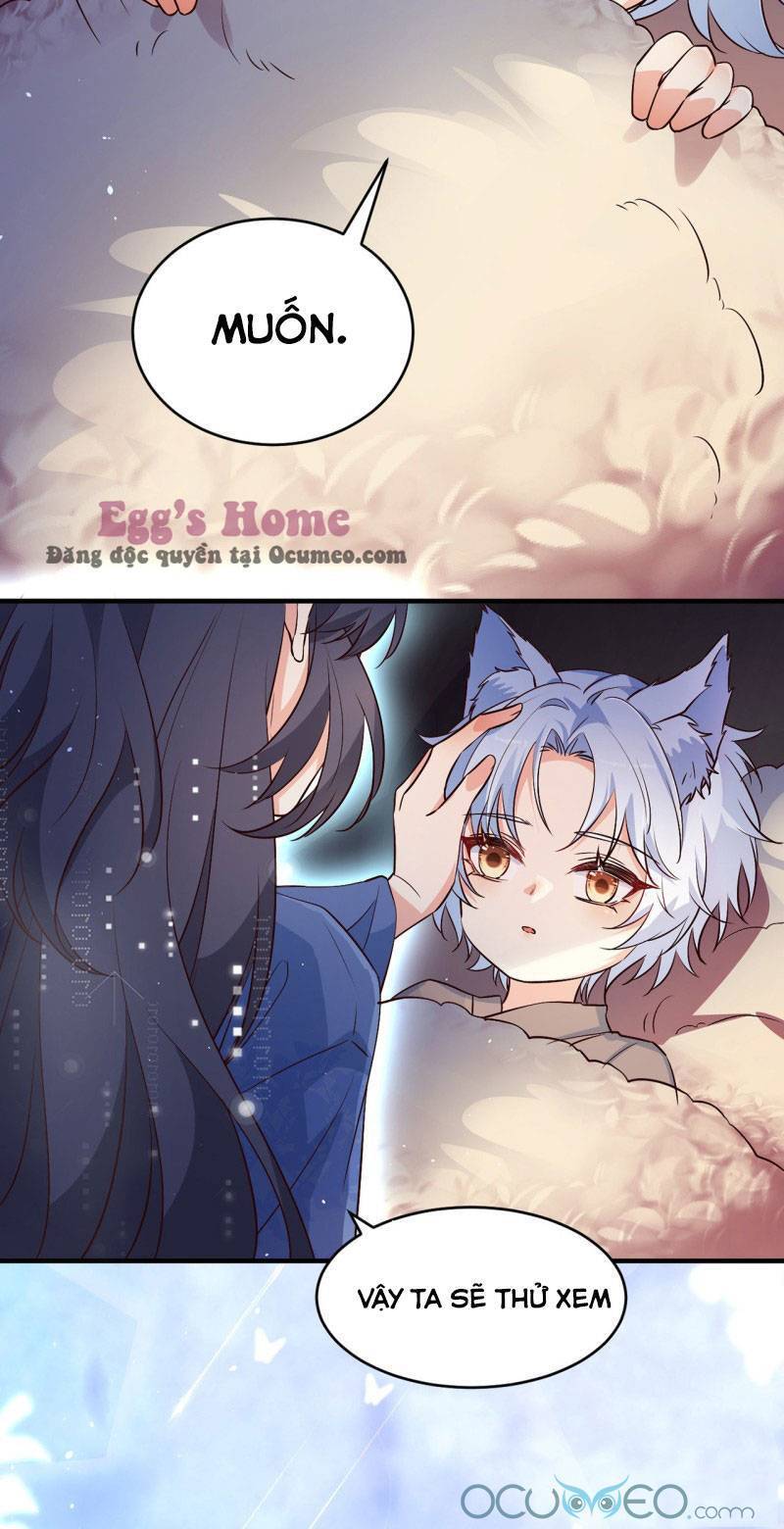 Tiểu Hồ Ly Hôm Nay Có Chút Ngoan chapter 4 - Trang 26