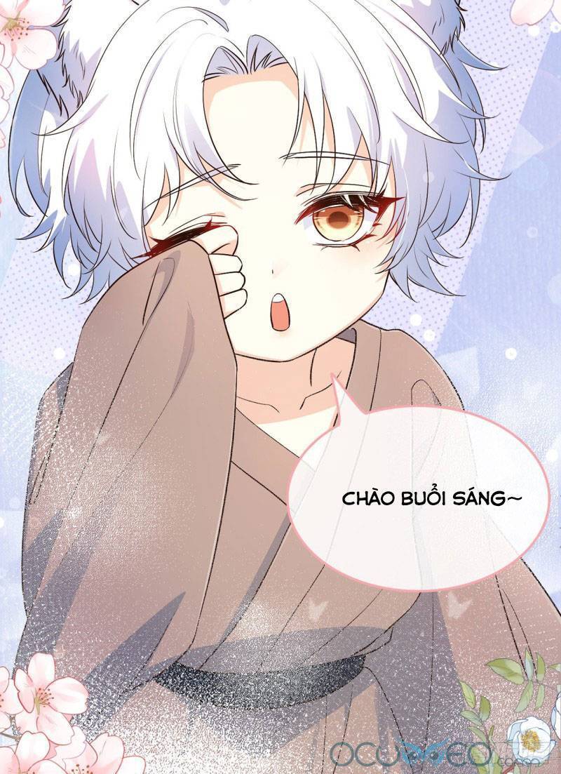 Tiểu Hồ Ly Hôm Nay Có Chút Ngoan chapter 4 - Trang 41