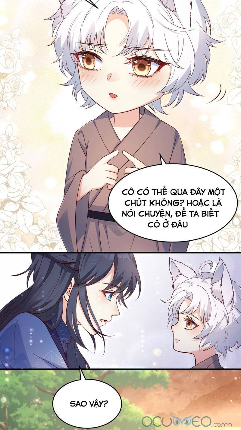 Tiểu Hồ Ly Hôm Nay Có Chút Ngoan chapter 5 - Trang 11