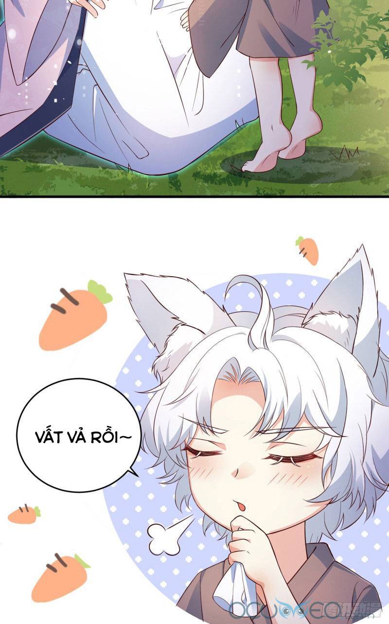 Tiểu Hồ Ly Hôm Nay Có Chút Ngoan chapter 5 - Trang 13