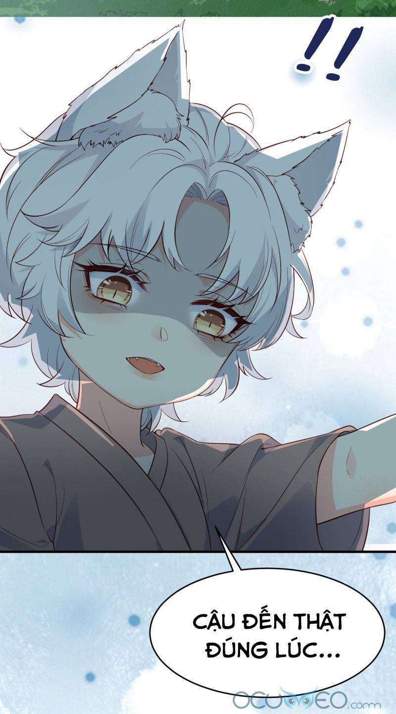 Tiểu Hồ Ly Hôm Nay Có Chút Ngoan chapter 5 - Trang 24