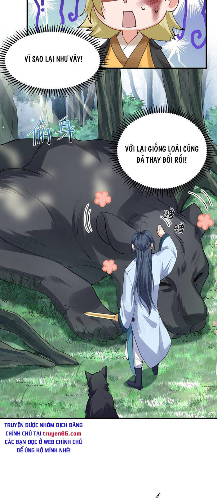 Ta Vô Địch Lúc Nào chapter 62 - Trang 10