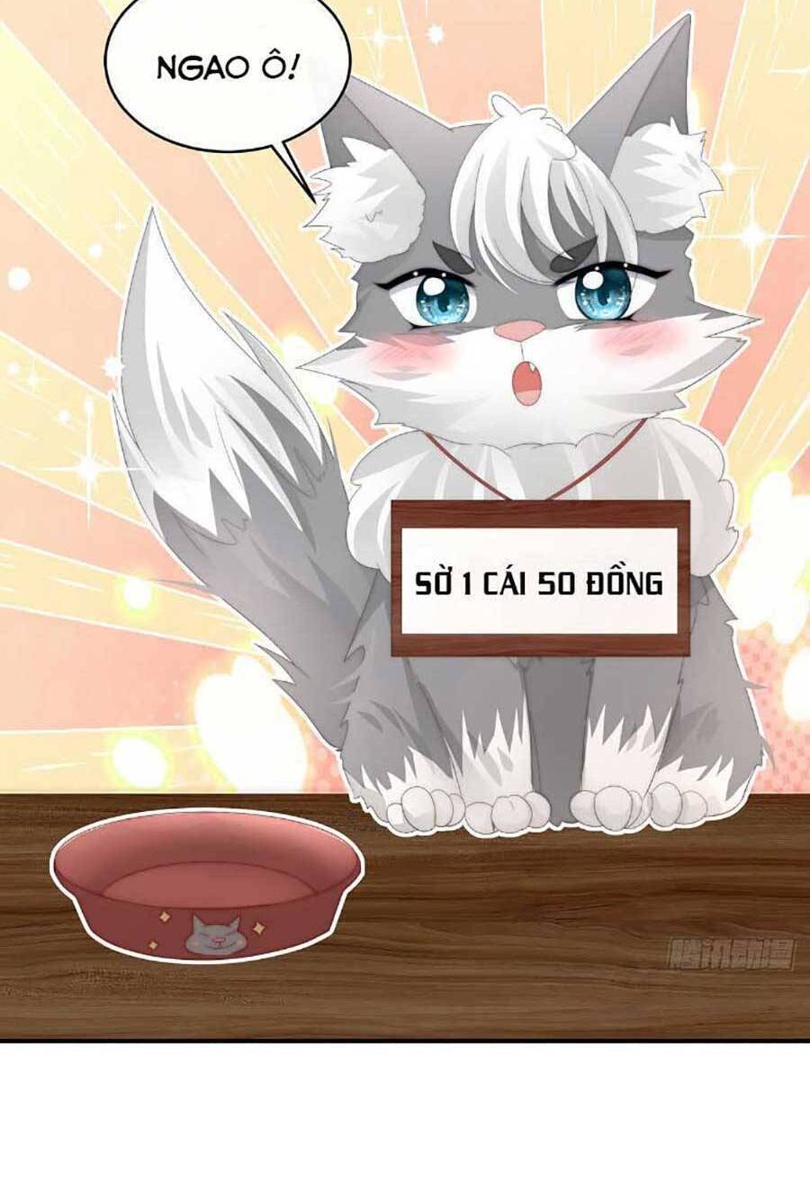 Thê Chủ, Thỉnh Hưởng Dụng chapter 47 - Trang 8