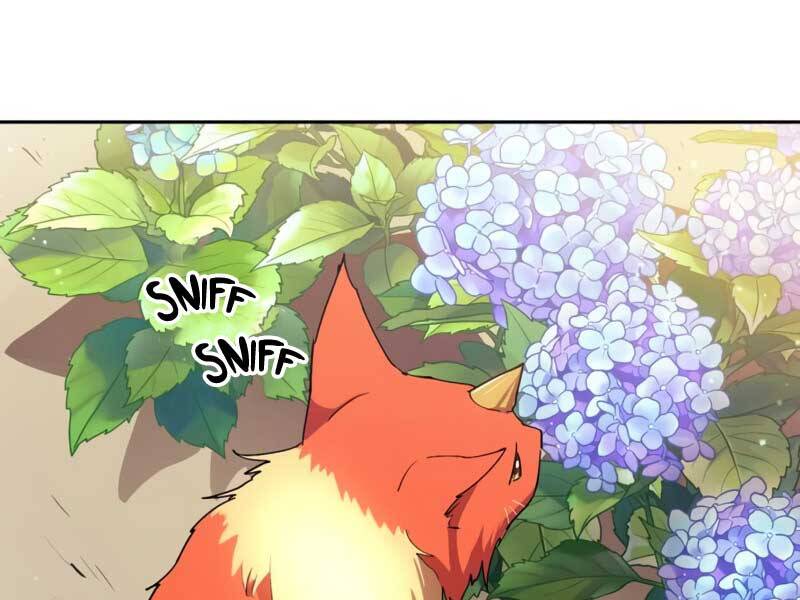 Những Ranker Cấp S Mà Tôi Nuôi Dưỡng chapter 46 - Upload bởi truyensieuhay.com