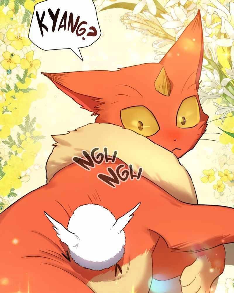 Những Ranker Cấp S Mà Tôi Nuôi Dưỡng chapter 51 - Upload bởi truyensieuhay.com