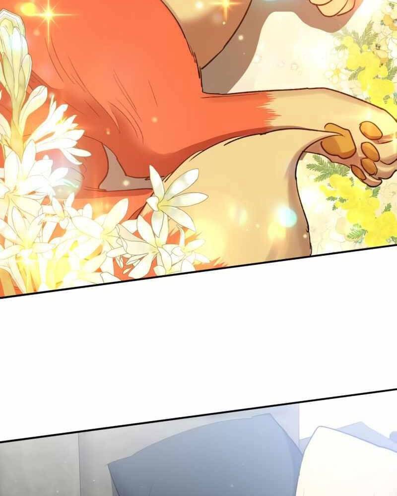 Những Ranker Cấp S Mà Tôi Nuôi Dưỡng chapter 51 - Upload bởi truyensieuhay.com