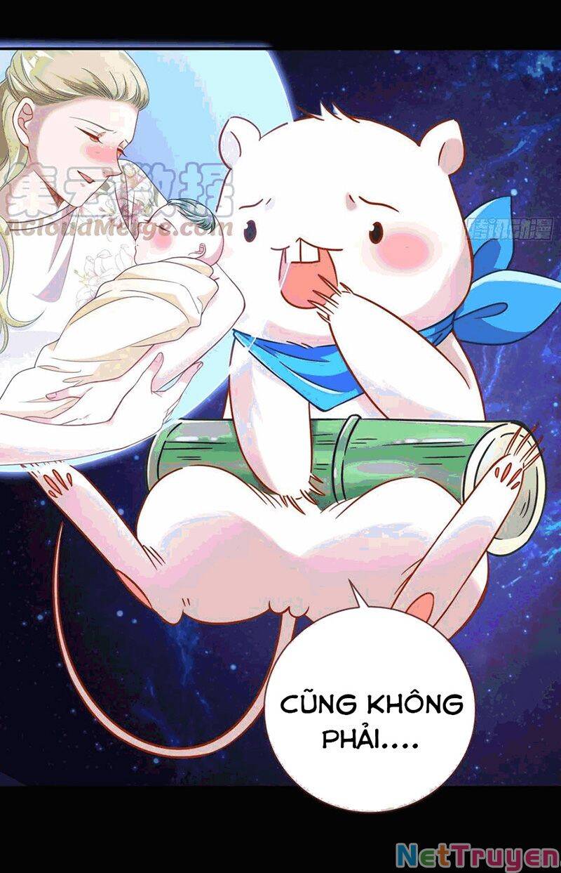 Vạn Tra Triêu Hoàng chapter 224 - Trang 5