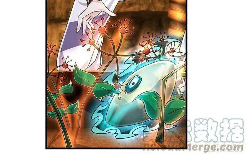 Luyện Thể Trăm Nghìn Tầng chapter 165 - Trang 5