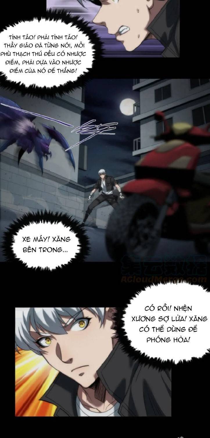 Phù Thạch Vương Giả chapter 3 - Trang 19