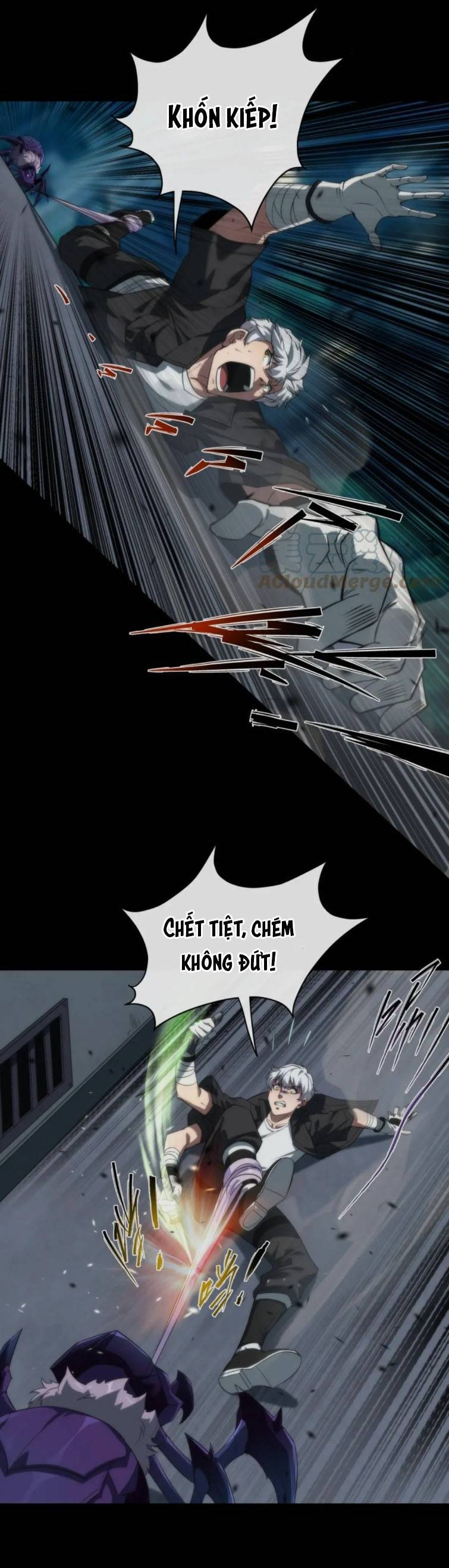 Phù Thạch Vương Giả chapter 3 - Trang 8