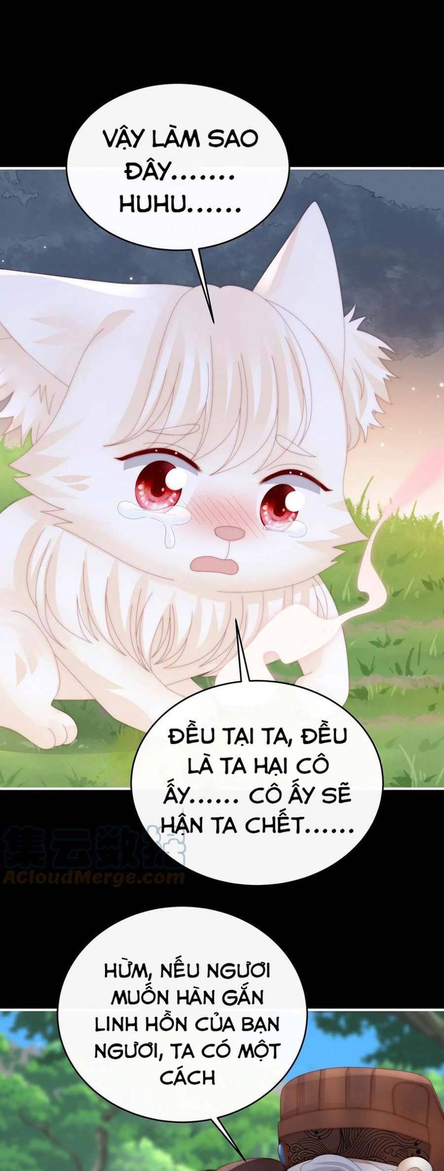 Thê Chủ, Thỉnh Hưởng Dụng chapter 83 - Trang 11