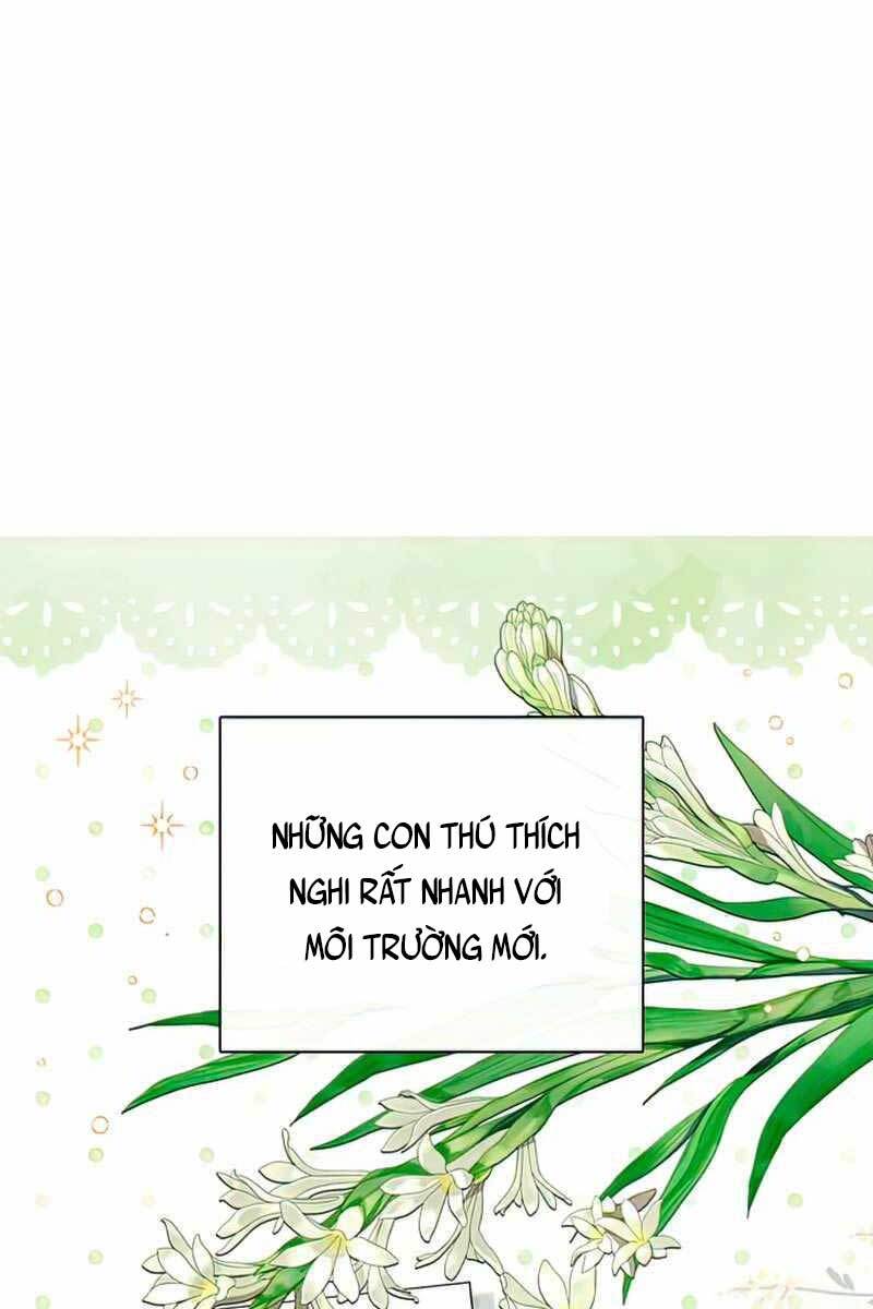 Những Ranker Cấp S Mà Tôi Nuôi Dưỡng chapter 57 - Upload bởi truyensieuhay.com