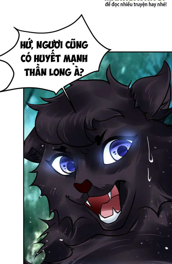 Sư Tổ Của Ta Là Thiên Hạ Vô Địch Chapter 19 - Trang 26