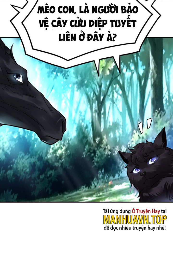 Sư Tổ Của Ta Là Thiên Hạ Vô Địch Chapter 19 - Trang 34