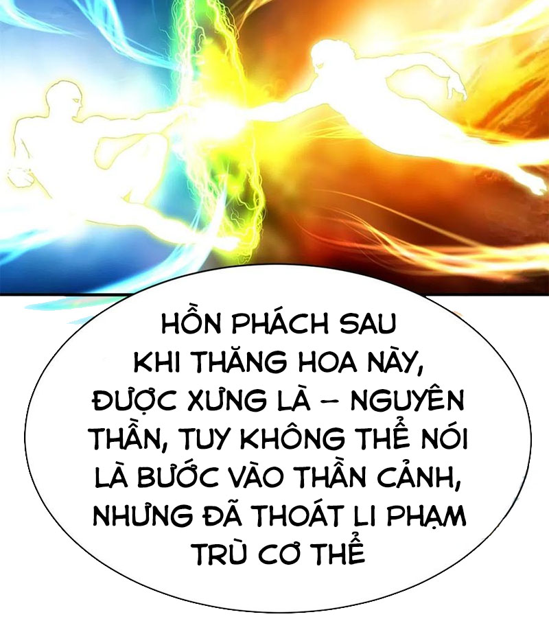 Ta Nhặt Được Thuộc Tính Tại Tu Chân Giới chapter 206 - Trang 8