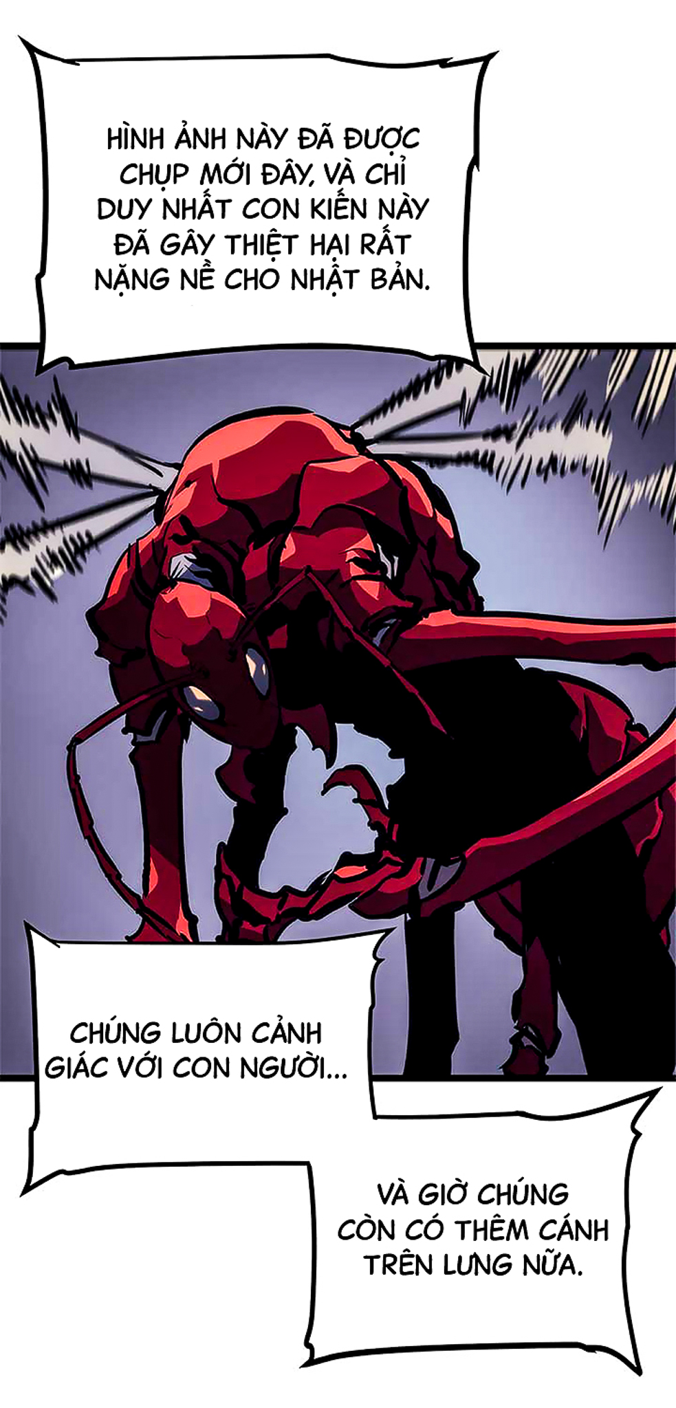 Solo Leveling - Tôi Thăng Cấp Một Mình chapter 94 -đảo kiến - Upload bởi truyensieuhay.com