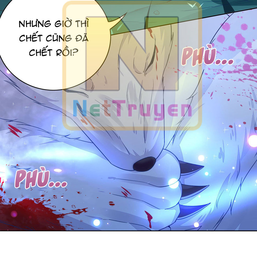 Chi Tôn Đồng Thuật Sư: Tuyệt Thế Đại Tiểu Thư chapter 27 - Trang 14