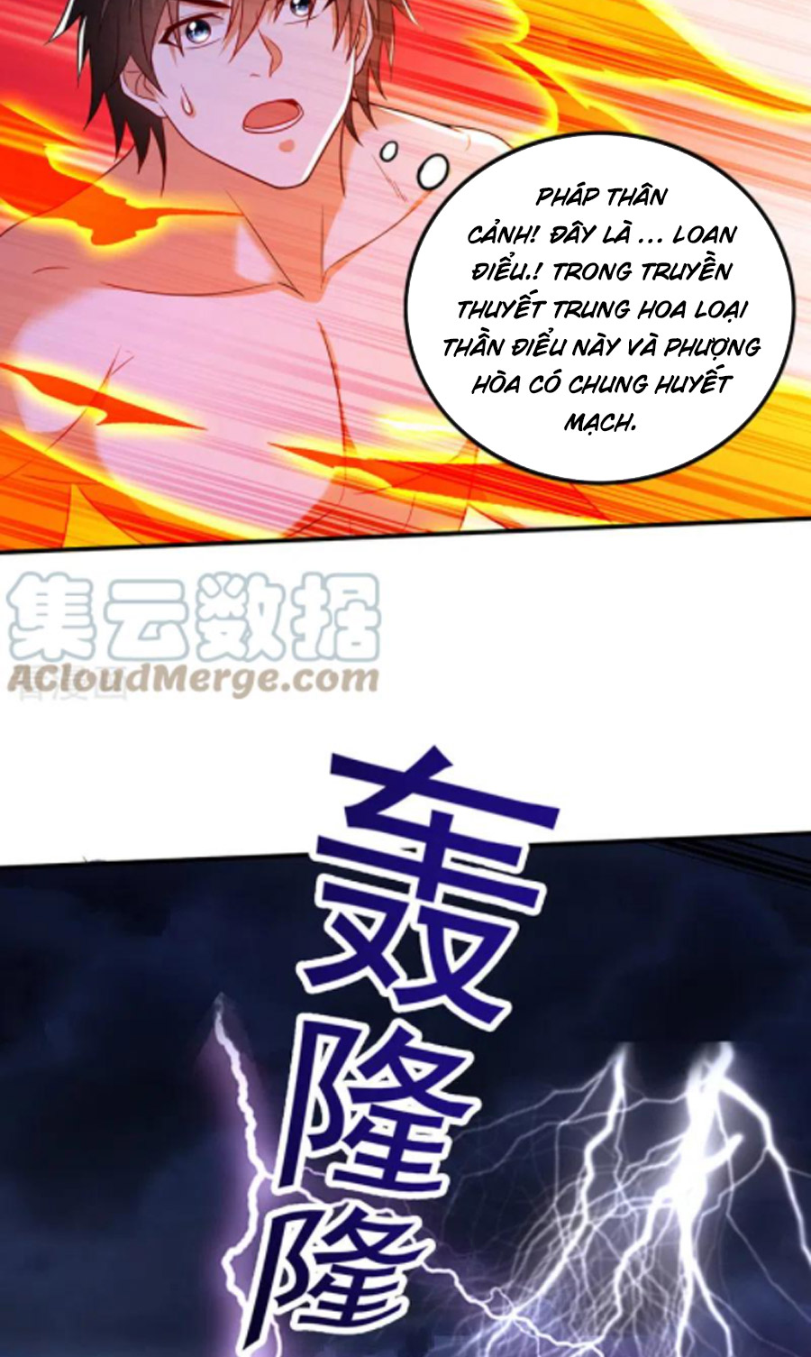 Siêu Cấp Thần Y Tại Đô Thị Chapter 256 - Trang 4
