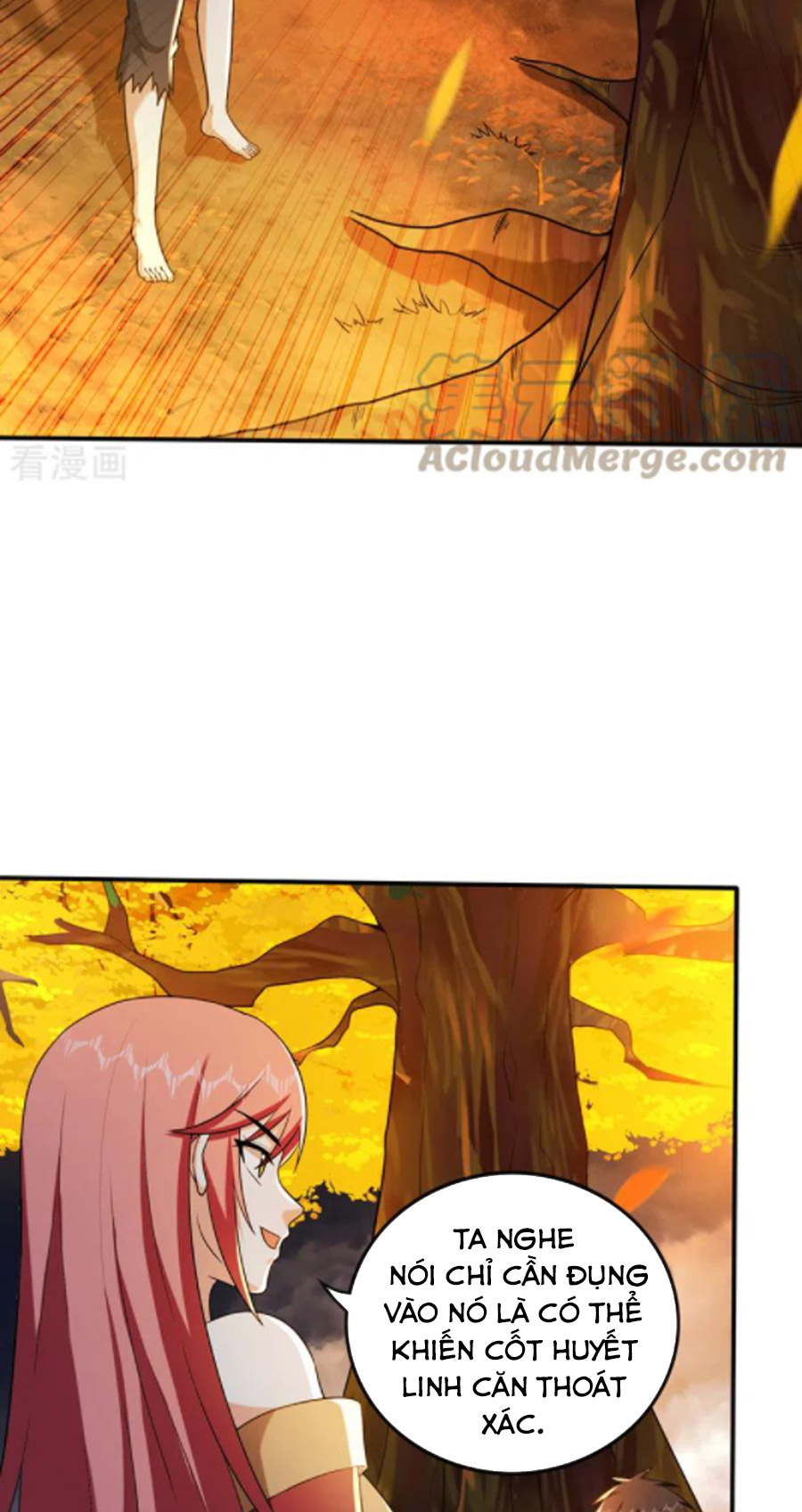 Siêu Cấp Thần Y Tại Đô Thị Chapter 256 - Trang 28