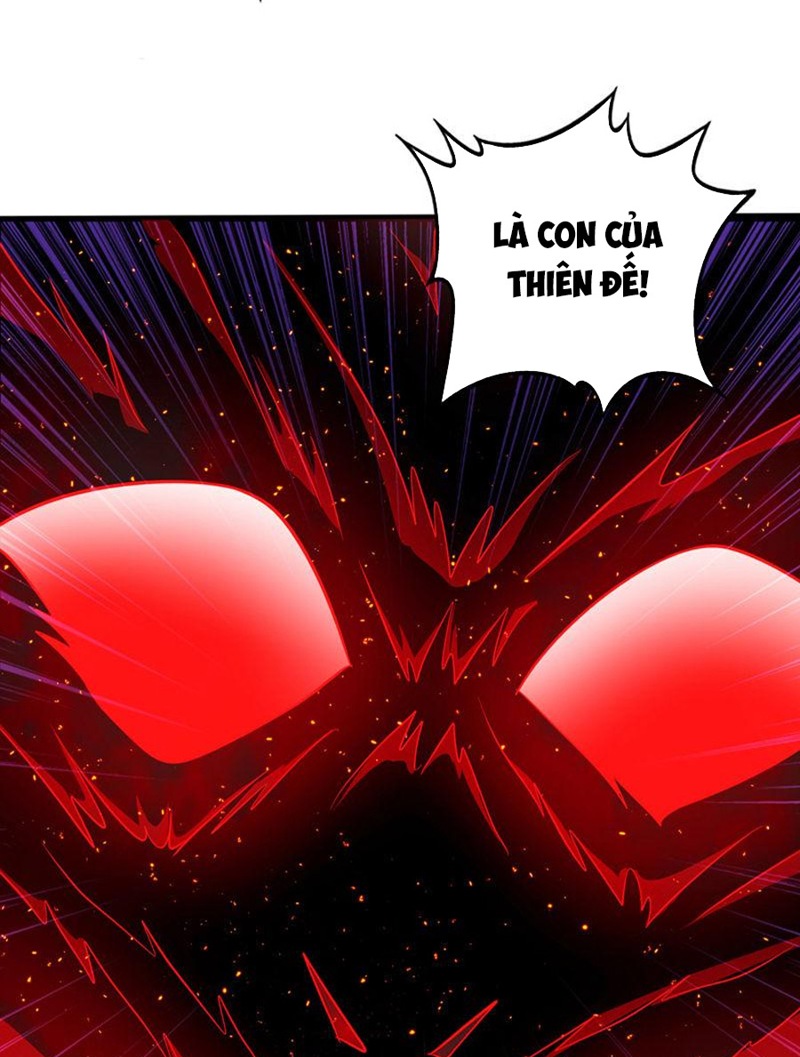 Siêu Cấp Thần Y Tại Đô Thị Chapter 261 - Trang 10